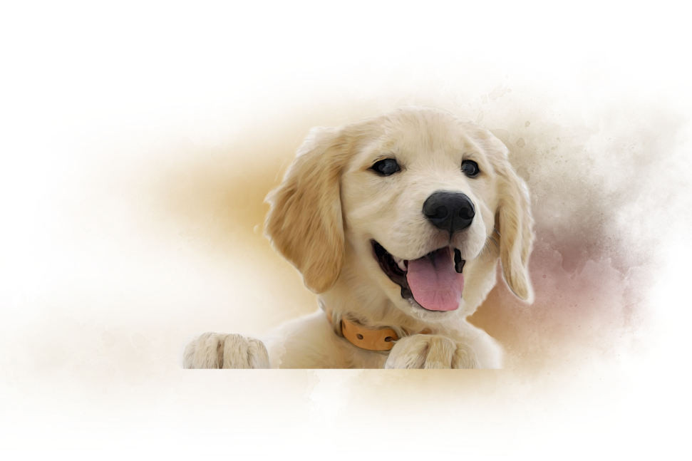 Omakase Pet dog illustration