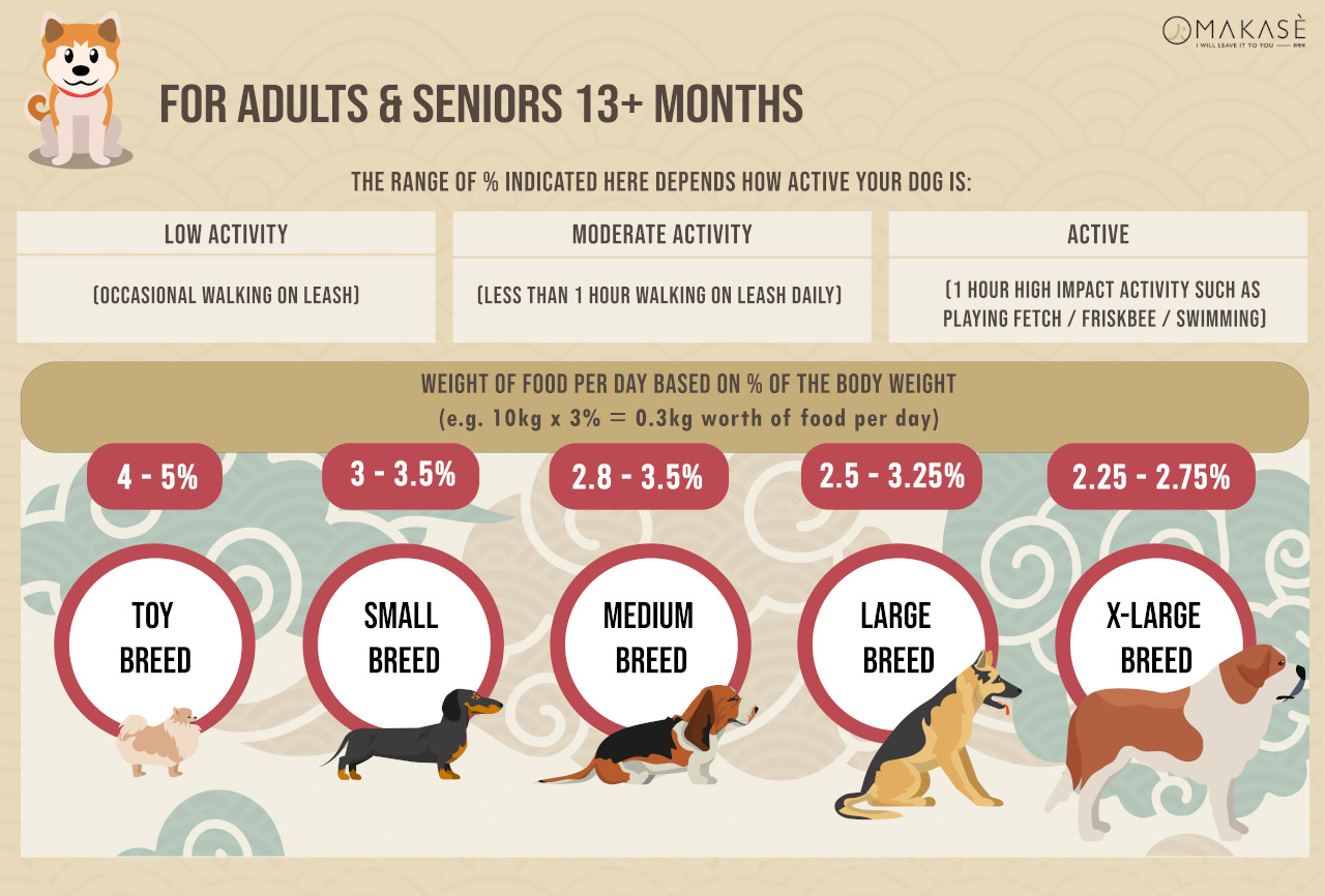 For Adults & Seniors 13+ Months
