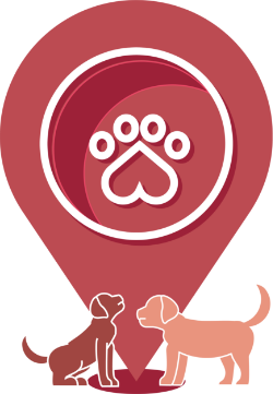 dog-loacte-img