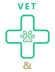 card-logo